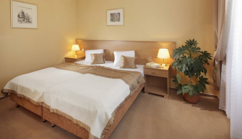 Lázeňský hotel SAVOY Františkovy Lázně